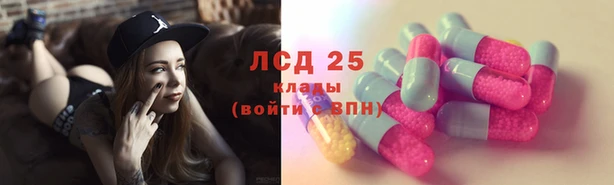 хмурый Алзамай