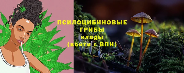 экстази Алексин