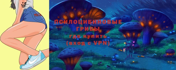 экстази Алексин